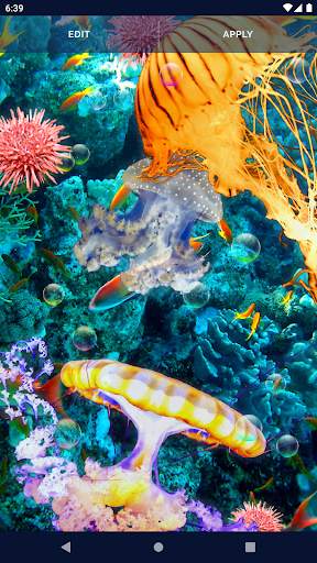 Jellyfish Live Wallpaper screenshot 6