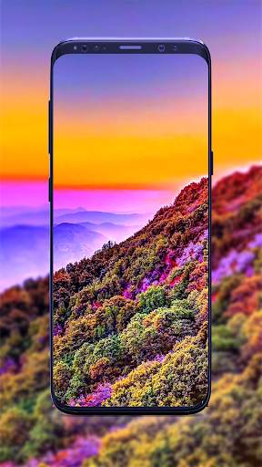 Backgrounds and Wallpapers ( Offline ) screenshot 2