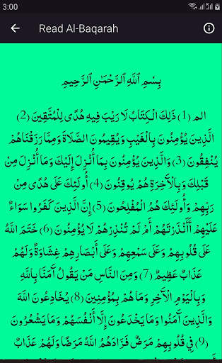 Surah Al Baqarah MP3 - ONLINE VERSION screenshot 3