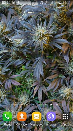 Weed Live Wallpaper screenshot 4