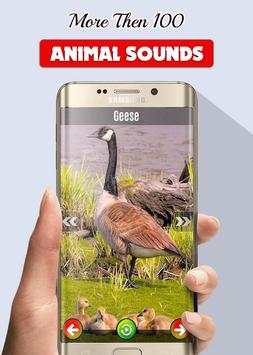 Animals and Birds Sounds screenshot 4