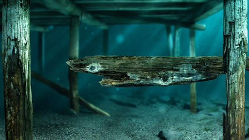Kind of Fishy Aquarium screenshot 9