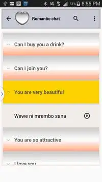 Swahili Travel Companion screenshot 2