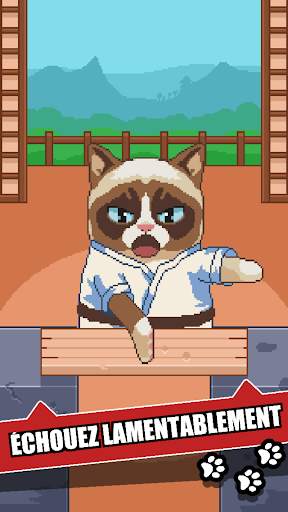 Grumpy Cat: Un jeu affreux screenshot 3