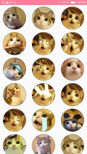Human to Cat Translator screenshot 3