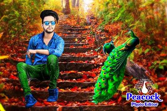 Peacock Photo Editor screenshot 8