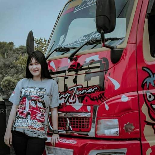 Wallpaper Truck screenshot 1