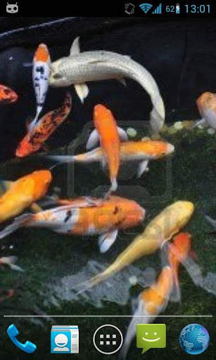 Magic Touch Koi Fish 4 تصوير الشاشة