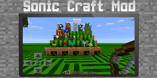 Sonik 2 Mod screenshot 3