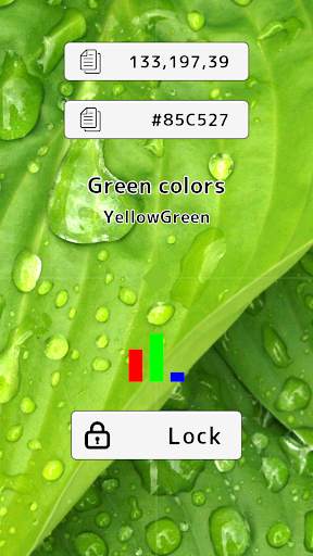 Color Camera screenshot 2
