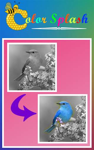Color Splash Effect 1 تصوير الشاشة