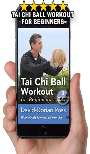 Tai Chi Ball Beginner screenshot 5