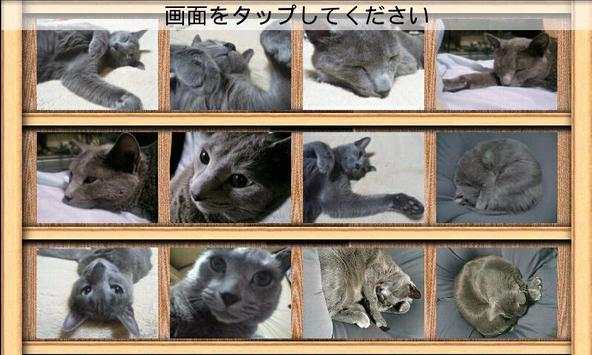 Photo Collection screenshot 2