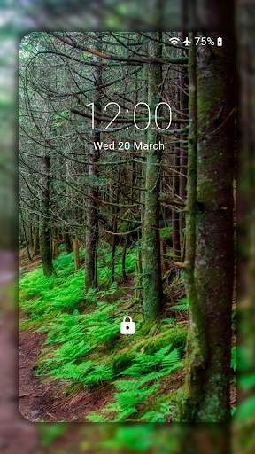 Forest Wallpapers HD (backgrounds & themes) screenshot 1