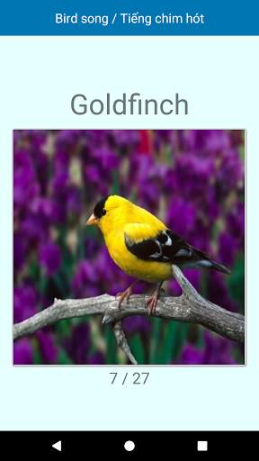 Bird Song / Tiếng Chim screenshot 6