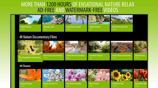 4K Nature Relax TV screenshot 18