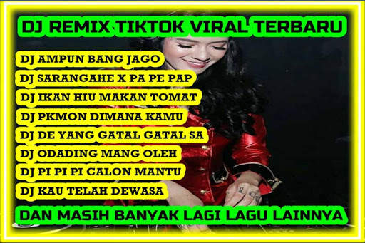 DJ Remix Tiktok Viral Offline screenshot 1