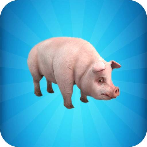Pig Simulator 1.0