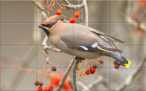 Sparrows Puzzle स्क्रीनशॉट 2