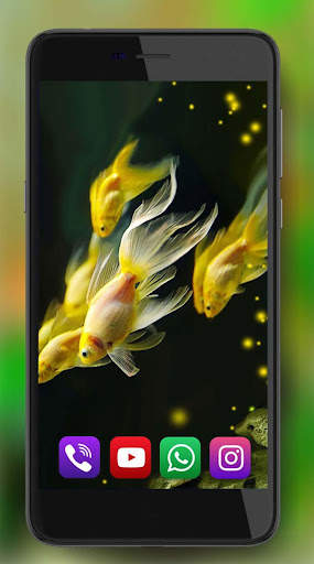 Aquarium Gold Fishes LWP 2 تصوير الشاشة