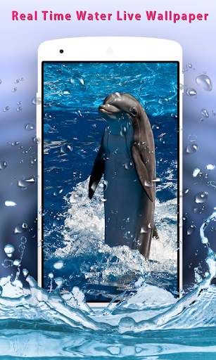 Dolphins Live Wallpaper screenshot 5