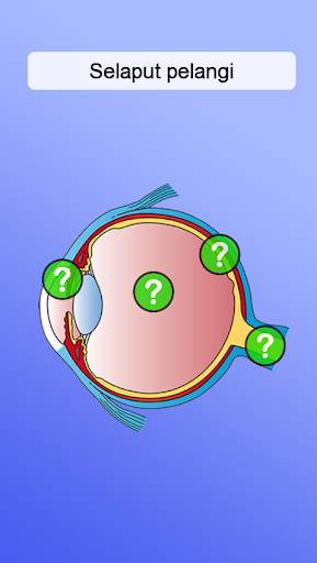 Anatomi screenshot 4