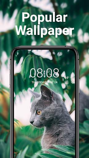 SuperWallpaper-for mobile screenshot 1