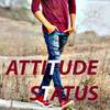 Attitude Status 2016 11.0
