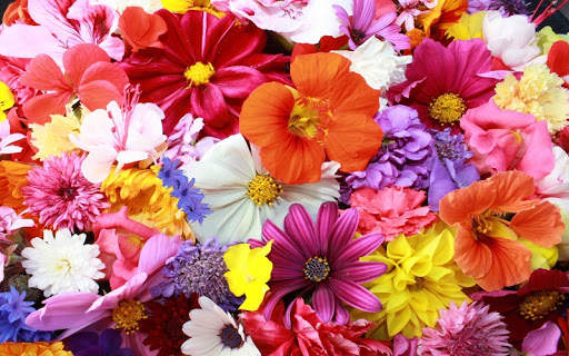 Flowers Wallpapers screenshot 6