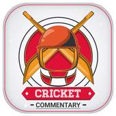 Cricket Commentary 2.0