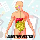 AR Digestive System New icon
