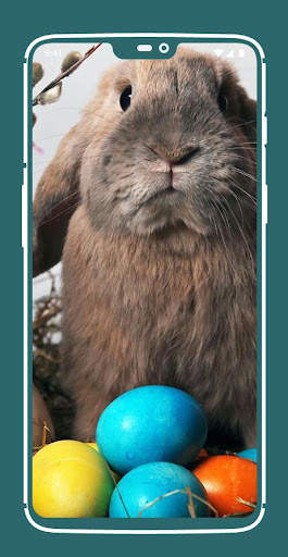 Easter Wallpaper screenshot 7
