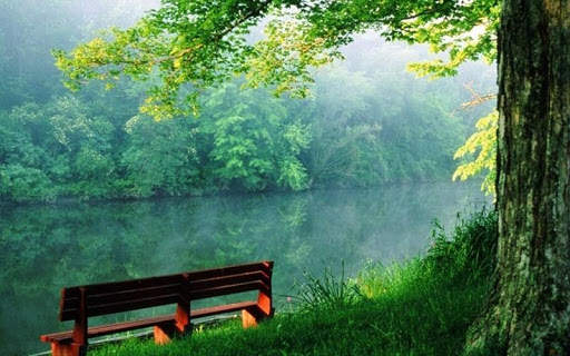 Green Nature HD Wallpaper screenshot 3