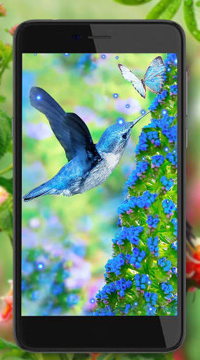 Hummingbird Cute screenshot 7