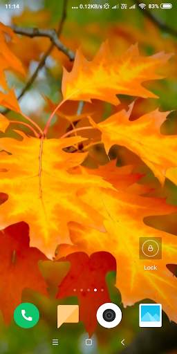 Autumn Wallpaper screenshot 10