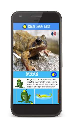 Kids Zoo : Animal Video and Sound screenshot 3