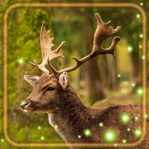 Forest Animals Live Wallpaper 1.2