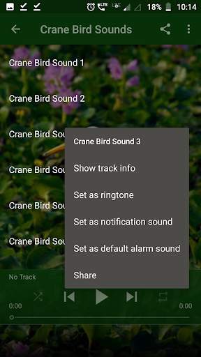 Crane Bird Sounds screenshot 3