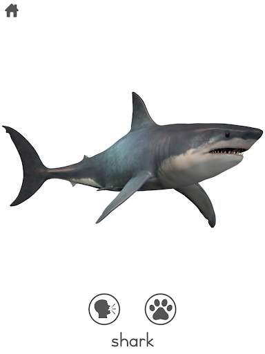 Free 100  Animal Sounds screenshot 10