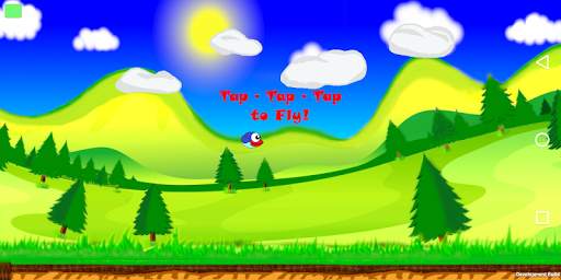 Happy Bird Championship 2020 screenshot 5