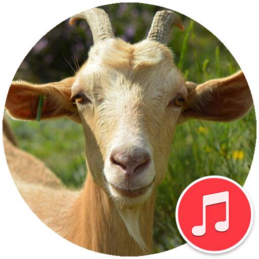 Goat Sounds 1.4