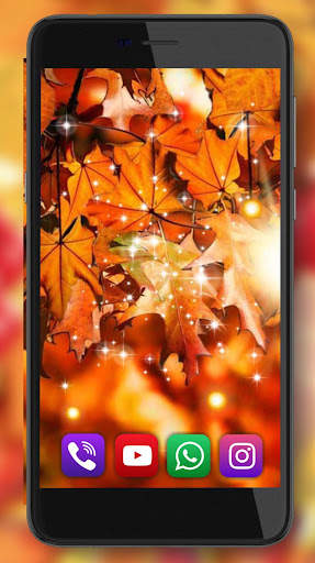 Autumn Sun Live Wallpaper screenshot 2