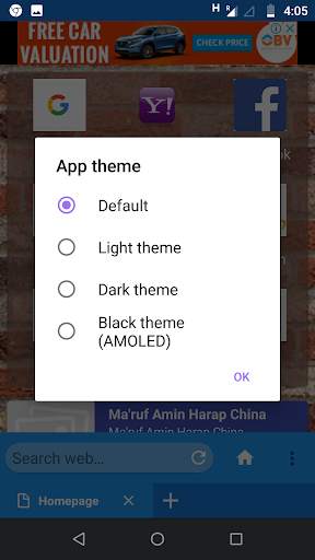 Web Browser screenshot 3