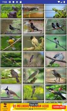 Bulbul Wallpapers screenshot 4