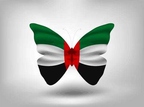 سعيد اليوم الوطني الامارات 8 تصوير الشاشة