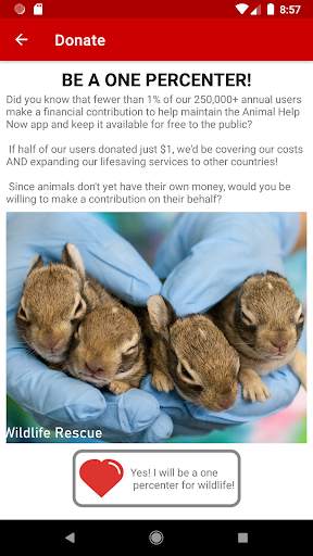 Animal Help Now screenshot 8
