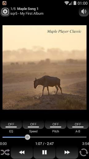 Maple Unlocker screenshot 1