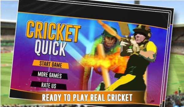 Quick Cricket screenshot 1