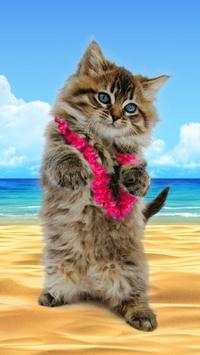 Funny cats Dancing and playing screenshot 11