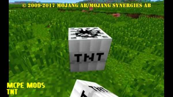 TNT Mod screenshot 3